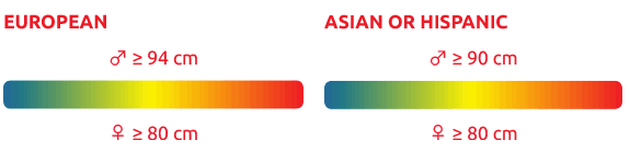 Deux barres dégradées de couleurs représentant les critères de taille pour les groupes européens et asiatiques ou hispaniques, avec des mesures pour les mâles et les femelles en cm.