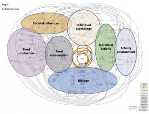 It’s complicated! Systems science and obesity