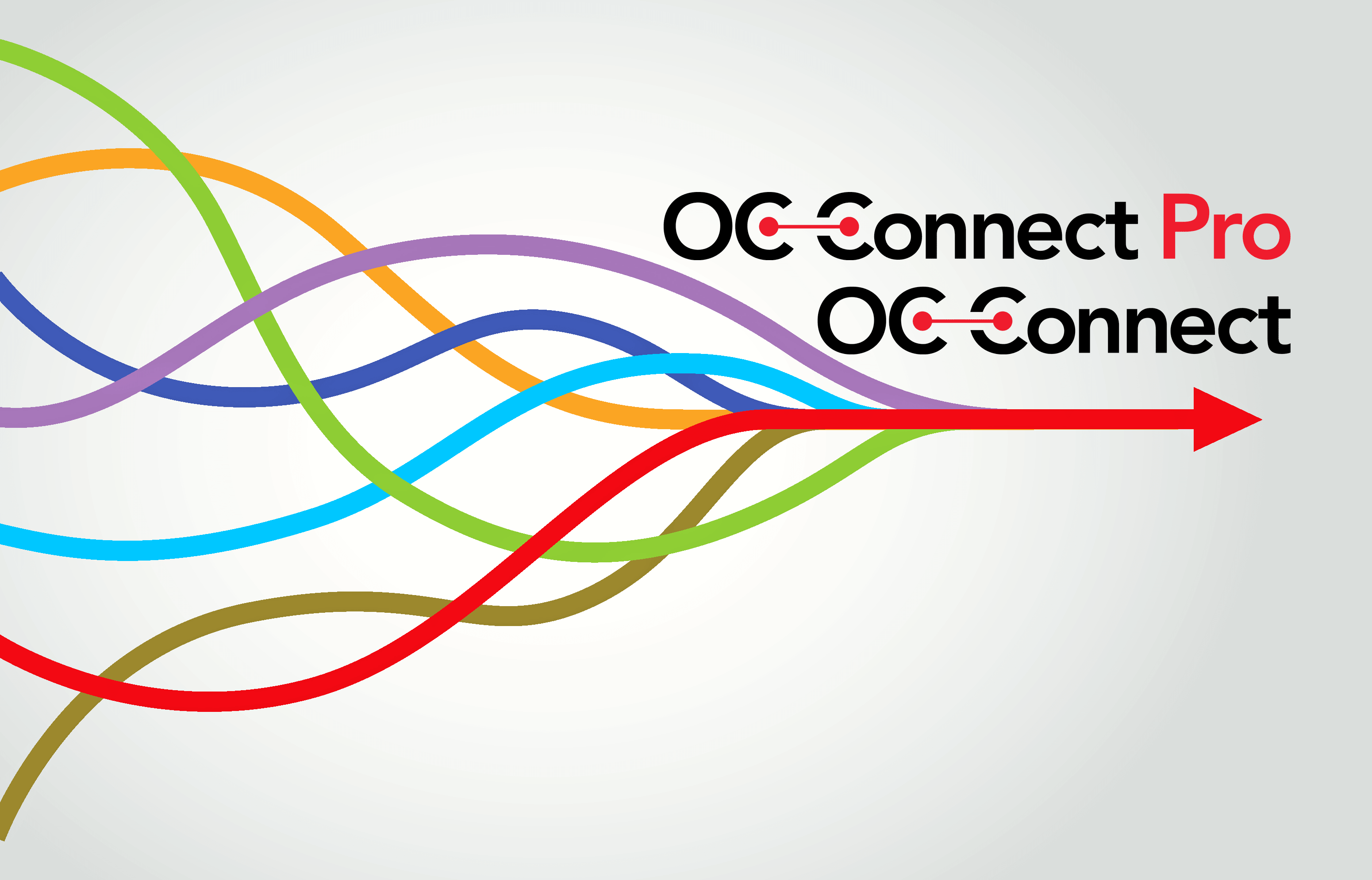 Ипка коннект. Коннект. Connect лого. Pro connection. Connect логотип психология.