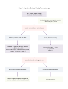 Flowchart outlining the decision-making process for choosing obesity pharmacotherapy based on bmi, comorbidities, and weight management outcomes.