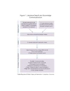 Figure titled "literature search and knowledge contextualization," depicting a flowchart that outlines the process of selecting academic papers through various stages of review and focus group discussion.