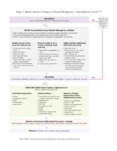 Flowchart for medical nutrition therapy for obesity management, with decision pathways and treatment options outlined in labeled boxes connected by arrows.